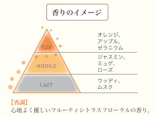 在庫あり時即納【NEW】パイモア　CADEAU（キャドゥ）シャインオイル　ライト　120mLアウトバストリートメント(洗い流さないトリートメント)キュアメントハーバルシリーズ 3