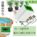 給水器植物 水やり器自動給水器 散水タイマー 自動水やり 自動散水タイマー 水タイマー 水やり機 お庭の水やり 12鉢対応可能 植物 家庭用 小型植物 USB ...