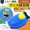 テニス 練習 テニス練習機 上達 サーブ 一人 場所 器具 子ども 中級 自宅 簡単 スピン トレーニング 自主練習 初心者 自宅 部活 大人 レシーブ 人気 ...