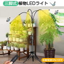 植物育成ライト LED スタンド4灯 タイマー 三脚 植物育成LED usb 観葉植物育成ライト 植物ライト 多肉植物育成 トフルスペクトル 10階段調光 80...