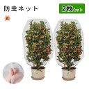 植物保護カバー 2個セット 防虫ネット 植物保護袋 野菜網 野菜栽培 園芸用ネット 虫鳥除け網 虫よけカバー 鉢植え用 防鳥ネット DIY 虫鳥除け網 菜園プラ...