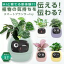 Ivyスマートプランター まるでペットみたい!?に植物を育成!植物の気持ちが見れるAI 【あすつくで最短翌日到着!!】 多肉植物 観葉植物 5色展開