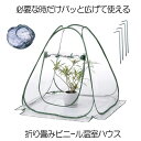 【パッと広げて使える】 ビニールハウス 温室ハウス 小型 家庭用 家庭菜園 折りたたみ 折り畳み フラワースタンド用 ミニガーデン 温室カバー ホーム温室 防水...