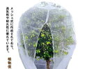 野菜栽培 植物保護袋 網 DIY 家庭菜園 防虫ネット ジッパー付き 鉢植え用 防鳥ネット ファスナー付き ベランダ 植物保護カバー 果樹園 みかん 園芸用ネッ...