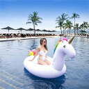 大人 浮き輪 フロート 大型 275cm 大人用 ボート 大きいサイズ 浮輪 ビーチ プールフロート かわいい うきわ 浮き具 プール 海水浴 水遊び ビーチ ...
