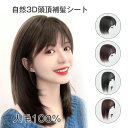 ウィッグ 部分かつら 人毛100% ボリュームアップ 分け目 薄毛隠し つけ毛 白髪 女性 カツラ ウイッグ ポイントウイッグ 増毛部分かつら 部分ウィッグ 自...