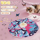 \2025新モデル登場!ダブル猫じゃらしで2倍の楽しさ!/ 猫 おもちゃ 電動 猫じゃらし 猫用おもちゃ ねこじゃらし 一人遊び 猫じゃらし 自動 ネコ おもち...