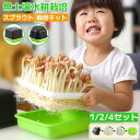 スプラウト 栽培キット 育苗ポット もやし栽培 育苗トレイ ピーナッツ水耕栽培ボックス 発芽 トレイ 無土壌 水耕栽培 トレー 栽培容器 苗箱 耐久性 通気性 発芽装置 植物育成 ブロッコリースプラウト 大豆 落花生 もやしなど 家庭菜園 野菜用具