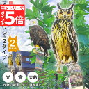 ★マラソンP5倍★鳥よけ 鳥よけフクロウ 鳥よけテープ 2個セット 反射板 鳥よけグッズ 鳥対策 防鳥対策 鳥被害 鳥撃退 鳥の糞 カラス撃退 鳩撃退グッズ 鈴...