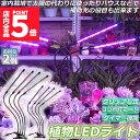 ★P5倍 マラソンセール★植物育成ライト 植物育成ランプ LED植物育成灯 2個セット 室内栽培ランプ 3つ照明モード 9段階調光 観葉植物 4ヘッド式ライト ...