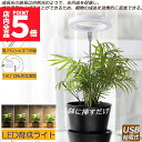 ★P5倍 マラソンセール★LED植物育成ライト 植物育成ライト 鉢植えに差し込む 4段階調光 LED 植物ライト 植物育成ランプ 観葉植物用ライト 室内栽培ラン...