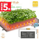 ★P5倍 マラソンセール★植物ヒーターマット 育苗マット サーモスタット ヒートマット 温度調節付き 育苗ポット 育苗器 発芽育苗器 園芸用ヒーター 育苗 成長...