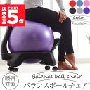 ★P5倍 マラソンセール★ヨガボールチェア バランスボール ヨガボール ヨガ 椅子 直径55cm ジムボール フィットネスボール 空気入れ付き キャスター付き 体幹 トレーニング エクササイズ 自宅トレ 筋トレ ダイエット 姿勢 腰痛対策