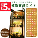 ★P5倍 マラソンセール★LED植物育成ライト 植物育成ライト 薄型 板状 板 パネル 5段階調光 LED 植物ライト 植物育成ランプ 観葉植物用ライト 室内栽...