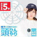 ★P5倍 マラソン★アイスパッド 帽子用 28度自然凍結 PCM 黒 白 アイスシート 結露無し ヘッドクーラー 頭皮冷却 冷感マット メットキャップ バケットハット 自転車 男性 女性 子供 高齢 冷却シート 暑さ対策 スポーツ 現場 外