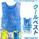 冷却ベスト 水冷 クールベスト 冷感ベスト 空調服 物理冷却 熱中症 猛暑対策 冷却服 ひんやりグッズ 保冷 工事現場 工場内 屋外 スポーツ 冷感 涼しい 保...