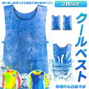 冷却ベスト 水冷 クールベスト 2枚セット 冷感ベスト 空調服 物理冷却 熱中症 猛暑対策 冷却服 ひんやりグッズ 保冷 工事現場 工場内 屋外 スポーツ 冷感...