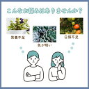 tomicoco:10000202のサンプル画像3
