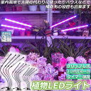 ★超祭り限定ポイント2倍★植物育成ライト 植物育成ランプ LED植物育成灯 3個セット 室内栽培ランプ 3つ照明モード 9段階調光 観葉植物 4ヘッド式ライト 5v 自動ON/OFF 室内/水耕栽培ランプ タイマー付き 360°調