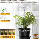 LED植物育成ライト 植物育成ライト 鉢植えに差し込む 4段階調光 LED 植物ライト 植物育成ランプ 観葉植物用ライト 室内栽培ランプ 自動オン/オフタイミン...