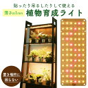 LED植物育成ライト 植物育成ライト 薄型 板状 板 パネル 5段階調光 LED 植物ライト 植物育成ランプ 観葉植物用ライト 室内栽培ランプ 定時機能 タイマー 高輝度 育苗ライト 観葉植物 多肉植物 効果 フルスペクトル プラントライト 省エネ 長寿命 家庭菜園 園芸用品