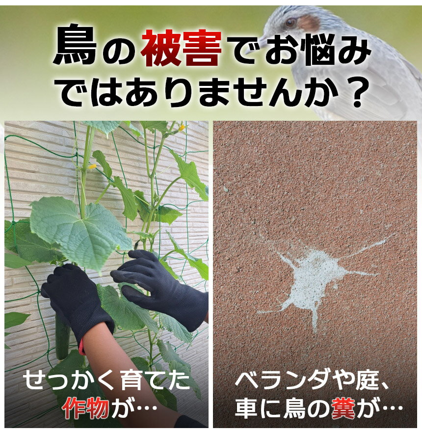 鳥よけ 10本セット 反射 鳩よけ カラスよけ 鳥よけグッズ 撃退 対策 鳥よけ棒 鳥除...