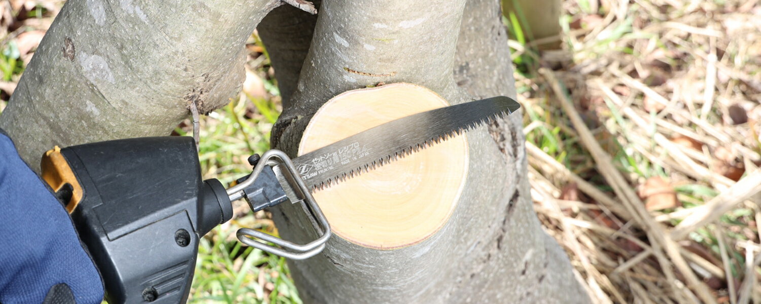 �Τ��������ؿ� �쥷�ץ������ؿ� ���ڤ��� 150mm