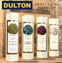 DULTON ダルトン アロマディフューザーハイドランジア フレグランス H19-0048BL H19-1148BR H19-0048GN H19-0048RD