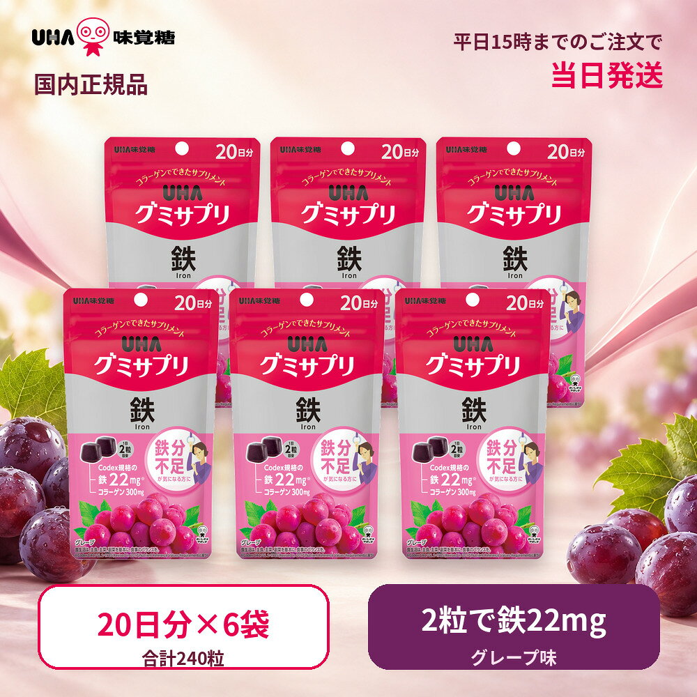 UHA味覚糖 UHAグミサプリ 鉄 40粒 20日分 6袋セット 120日分 グレープ味 鉄分 葉酸 コラーゲン グミ サプリメント 鉄サプリ 鉄分補給 鉄不足が気になる方に 栄養補助食品 健康食品 1日2粒 水なし 手軽 チャック付き まとめ買い