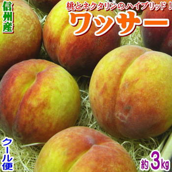 【予約】【クール便無料】信州産 ワッサー約3kg（10-14玉前後）桃とネクタリンをミックスした珍しい桃！信州原産の酸味と甘みのバランスが絶妙な美味しくて硬めの桃！【日付指定不可】