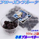 【送料無料】【フローズンフルーツ】冷凍ブルーベリー500g　2袋セット【南信州産】【冷凍フルーツ】