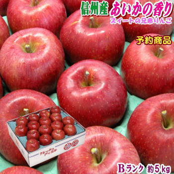 【送料無料】長野県産 あいかの香り Bランク（マル特）約5kg（11-18玉）濃厚な甘味！霜降り状に蜜が入ることも！？シナノスイートの兄弟りんご！ご当地りんご！のサムネイル