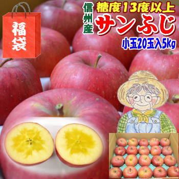 【りんご福袋】【送料無料】糖度13度以上！長野県産サンふじ約5kg（訳あり）Cランク家庭用小玉20玉！丸かじり！シャキシャキで甘くて美味しいよ♪！信州りんご！産地直送！林檎！【ラッキーシール対応】