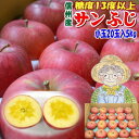 【送料無料】糖度13度以上！長野県産サンふじ約5kg（訳あり）Cランク家庭用小玉20玉！丸かじり！シャキシャキで甘くて美味しいよ♪！信州りんご！産地直送！林檎！【ラッキーシール対応】