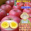 【送料無料】糖度13度以上!長野県産サンふじ約5kg(訳あり)Cランク家庭用小玉20玉!丸かじり!シャキシャキで甘くて美味しいよ♪!信州りんご!産地直送!林檎!【ラッキーシール対応】