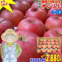 【SALE】【クール便】【CA貯蔵】【送料無料】糖度13度以...