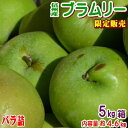 【加工向け】【送料無料】長野県産 ブラムリー 家庭用5キロ箱入 約4.6kg以上 訳あり(キズ、色ムラなど)英国生まれの調理用りんご!ジャムやアップルパイに!調理向けです!【バラ詰】クッキングアップル