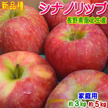 【送料無料】【クール便】長野県産 シナノリップ 家庭用約3kg・約5kg 訳あり（キズ、色ムラなど）信州オリジナルの新品種！甘味と酸味のバランスが良い25年産のご当地りんご♪のサムネイル
