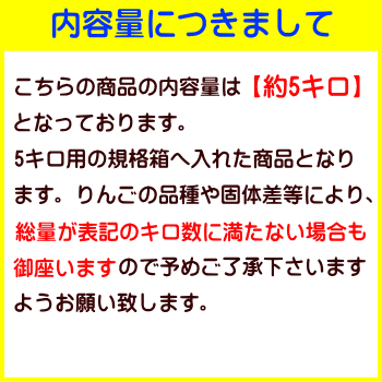 【送料無料】長野県産 トミおじさんのりんご！2品種詰合せ　Cランク（家庭用）約5kg（12-18玉）訳あり（キズ、色ムラなど）1度で2度美味しい！信州の自慢の2品種！【サンふじ・シナノゴールド】