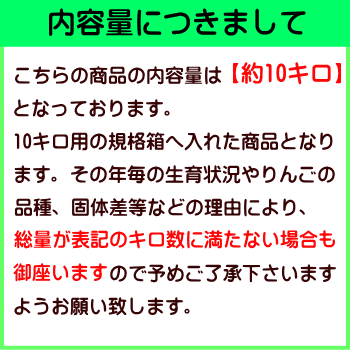 【送料無料】長野県産 トミおじさんのりんご!2品種詰合せ Cランク(家庭用)約10kg(24-36玉)訳あり(キズ、色ムラなど)1度で2度美味しい!信州の自慢の2品種!【サンふじ・シナノゴールド】産地直送!