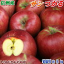 【送料無料】長野県産 サンつがる Cランク（家庭用）約5kg（16-18玉）訳あり（キズ、色ムラなど）秋のりんごシーズン最初の品種！信州りんごは甘〜いよ♪