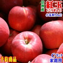 【予約】【送料無料】長野県産 紅玉(こうぎょく) Cランク家庭用3~10kg箱入 訳あり(キズ、色ムラなど)アップルパイにはこのりんご!お菓子作りの定番品種!★