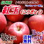 【送料無料】長野県産 紅玉(こうぎょく) Bランク(マル特)3kg箱入(内容約2kg)(12玉前後)アップルパイにはこのりんご!お菓子作りの定番品種!