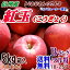 【送料無料】長野県産 紅玉(こうぎょく) Bランク(マル特)5kg箱入(内容約4kg)(18-25玉)アップルパイにはこのりんご!お菓子作りの定番品種!