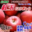 【送料無料】長野県産 紅玉(こうぎょく) Cランク家庭用5kg箱入(内容約4kg)(18-25玉)訳あり(キズ、色ムラなど)アップルパイにはこのりんご!お菓子作りの定番品種!