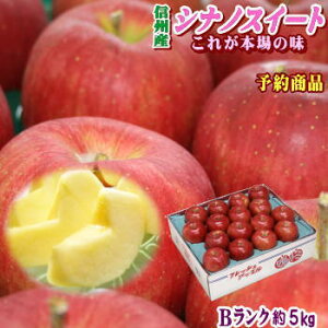 【送料無料】長野県産 シナノスイート Bランク(マル特)約5kg（14-18玉）濃厚な甘味と香りでジューシーな味わいがクセになる！信州オリジナルりんご！