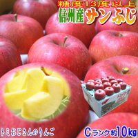 CA貯蔵【クール便発送】【送料無料】糖度13度以上！長野県産 サンふじ Cランク（家...