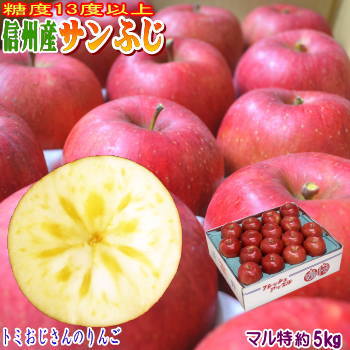 【送料無料】糖度13度以上！長野県産 サンふじ Bランク（マル特）約5kg（12-18玉）長寿の国！信州からお届けする甘〜い！完熟サンふじ！光センサー選果！【産地直送】【ラッキーシール対応】