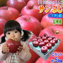 【クール便&送料無料】CA貯蔵!糖度13度以上!長野県産 サンふじ Cランク(家庭用)約5kg(10〜18玉)訳あり(キズ、色ムラなど)!こだわりの信州産!光セ...