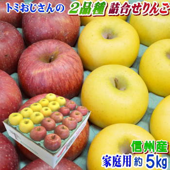 【送料無料】長野県産 トミおじさんのりんご！2品種詰合せ　Cランク（家庭用）約5kg（12-18玉）訳あり（キズ、色ムラなど）1度で2度美味しい！信州の自慢の2品種！【サンふじ・シナノゴールド】